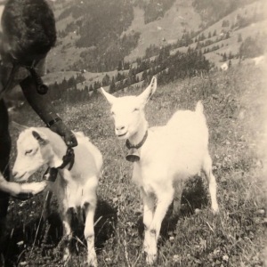 Photo590748033243_inner_165-234-555-270-155-909-567-909