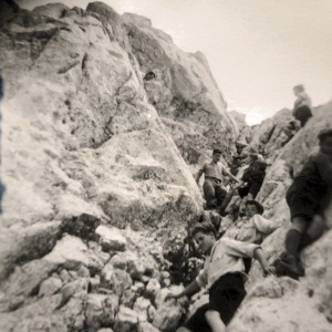 Photo590748738055_inner_155-351-550-355-152-843-583-824