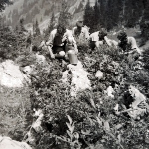 Photo590748797309_inner_82-125-898-102-42-667-902-656