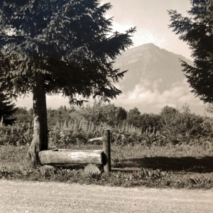 Photo590749232842_inner_150-58-676-27-163-848-667-835