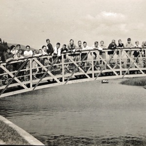 Photo590749370270_inner_105-218-498-218-105-847-527-847