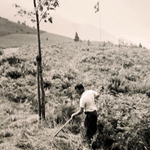 Photo590749394834_inner_57-151-494-144-107-814-516-811