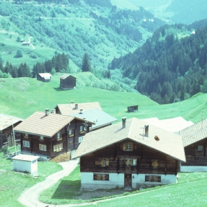 1982_bla_surein_0208