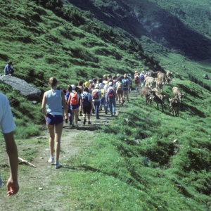 1982_bla_surein_0218