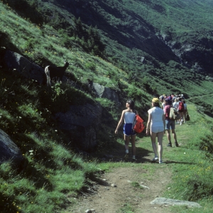 1982_bla_surein_0225