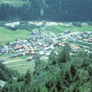 1982_bla_surein_0226