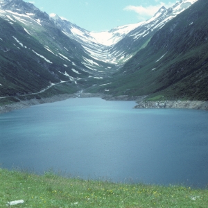 1982_bla_surein_0230