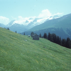 1982_bla_surein_0234