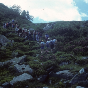 1982_bla_surein_0235