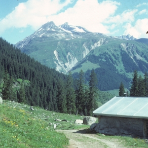 1982_bla_surein_0237