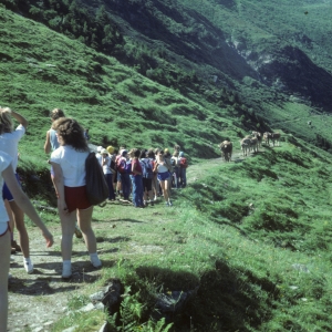 1982_bla_surein_0240