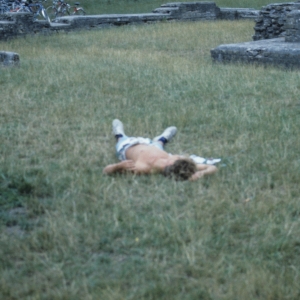 1984_ju_avenches_0122