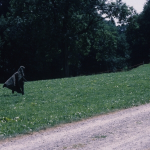 1988_ju_stursen_0104