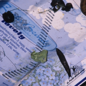 1988_ju_stursen_0120