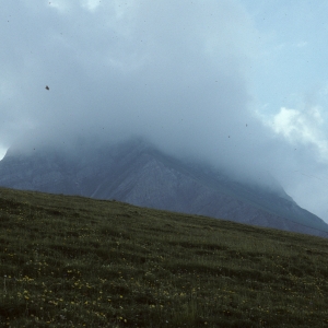 1991-sangernboden-83
