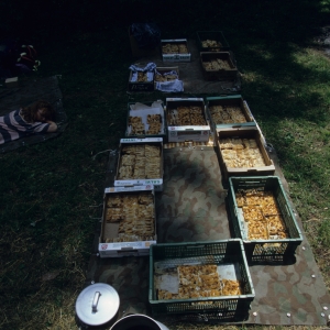 1994_jubla_lesverrieres_0328