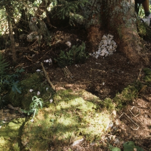 1994_jubla_lesverrieres_0342