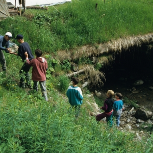 1995_saanenmoeser_0111