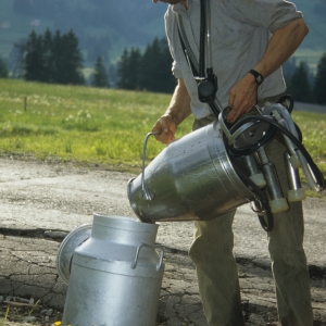 1995_saanenmoeser_0123