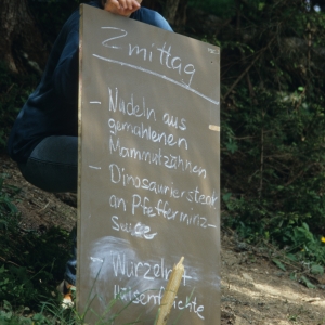 1995_saanenmoeser_0140