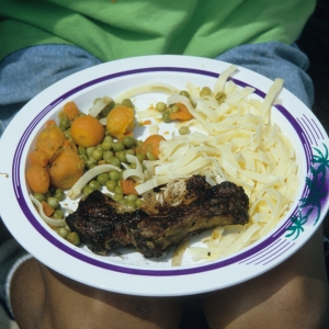 1995_saanenmoeser_0203