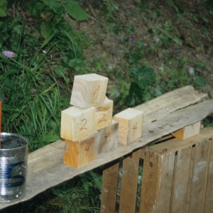 1995_saanenmoeser_0224