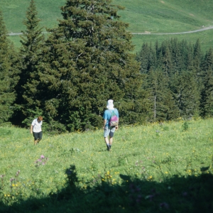 1995_saanenmoeser_0232