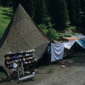 1995_saanenmoeser_0308