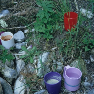 1995_saanenmoeser_0333