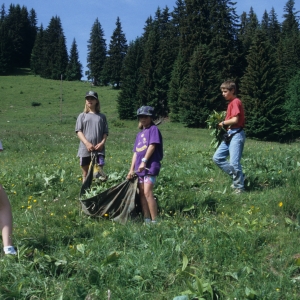 1995_saanenmoeser_0344