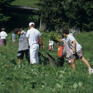 1995_saanenmoeser_0345