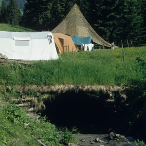 1995_saanenmoeser_0419