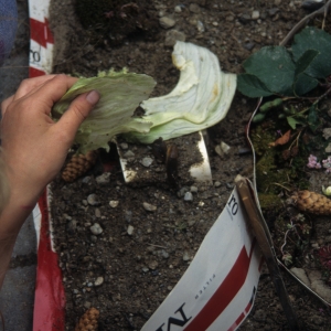 1996_jubla_saas-almagell_0211