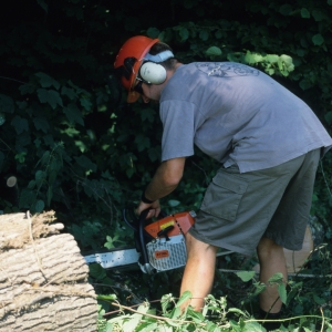 2001-estavayer-le-lac-129