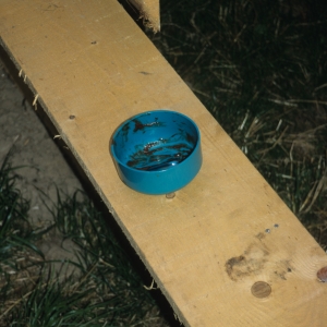 2001-estavayer-le-lac-156