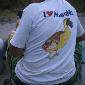 2001-estavayer-le-lac-244