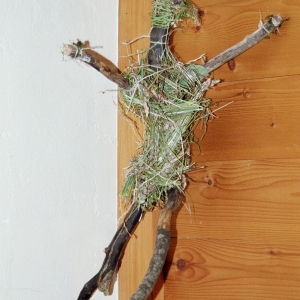 2002-st-stephan-2-181