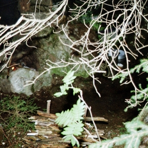 2002-st-stephan-2-204