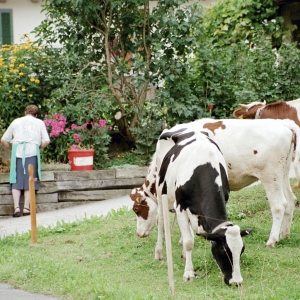 2002-st-stephan-2-92