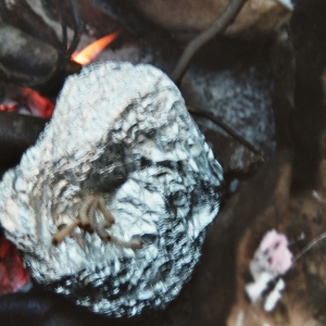 2005_les_pontins_-228