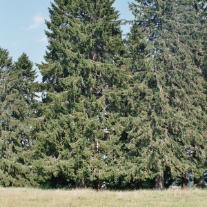 2005_les_pontins_-33