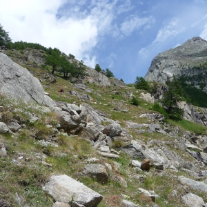 2009-saas-grund-381