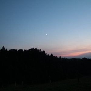 2013_affolternie-30